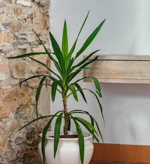 مبيت وإفطار Villa Galgani