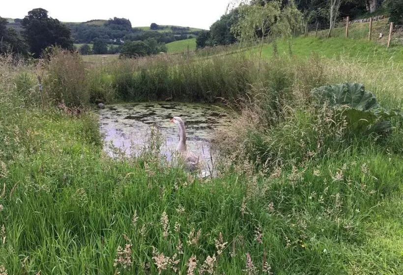 Jacquie S B&b  Dumfries Room With A View   Hot Tub