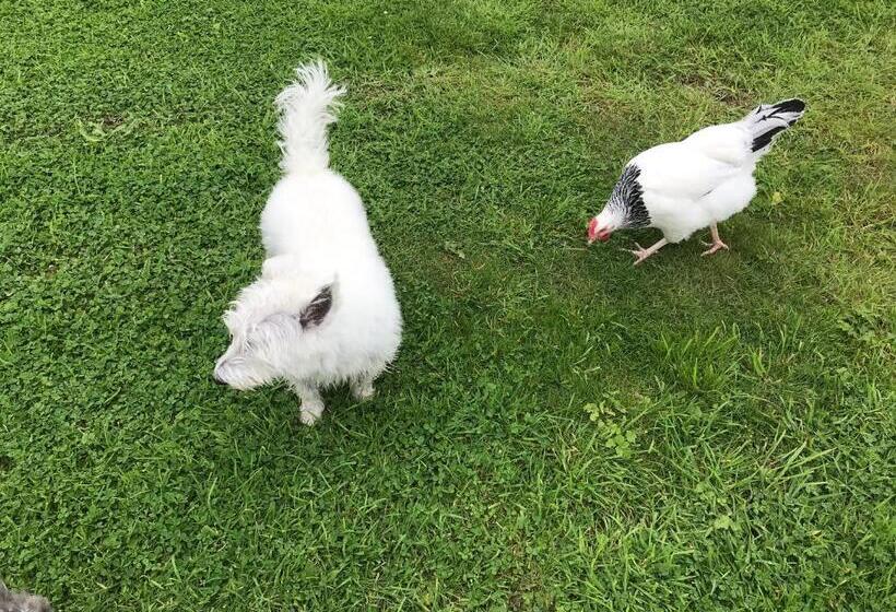 Jacquie S B&b  Dumfries Room With A View   Hot Tub