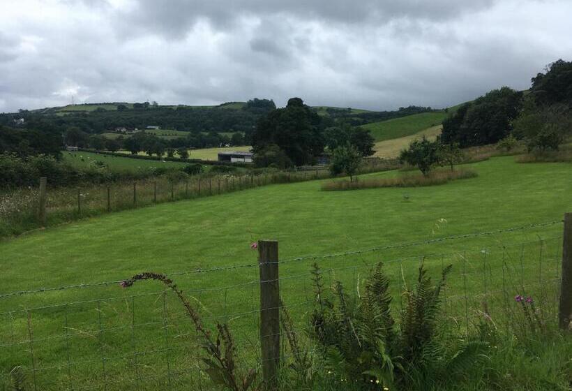 Jacquie S B&b  Dumfries Room With A View   Hot Tub