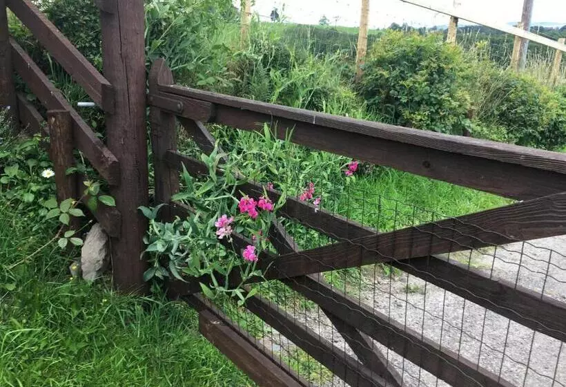 Jacquie S B&b  Dumfries Room With A View   Hot Tub
