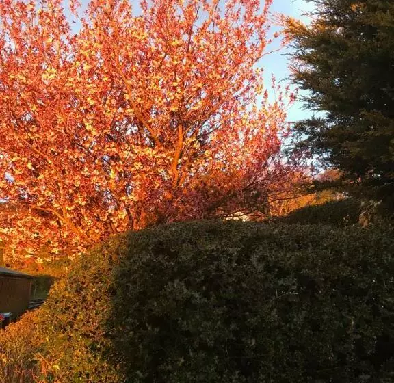 Jacquie S B&b  Dumfries Room With A View   Hot Tub