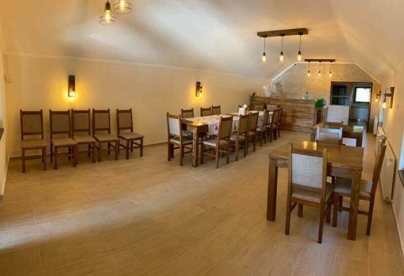 پانسیون Hanul Ursilor