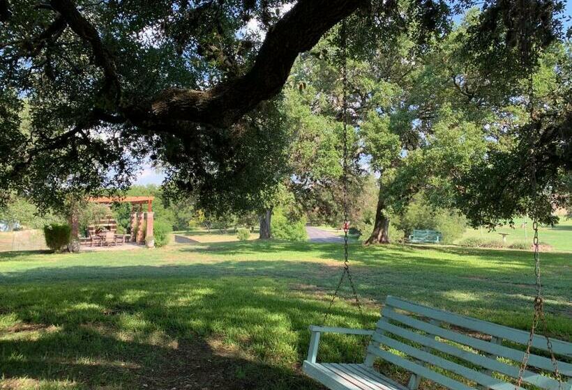 פנסיון Salado Cottage Retreat Near Downtown