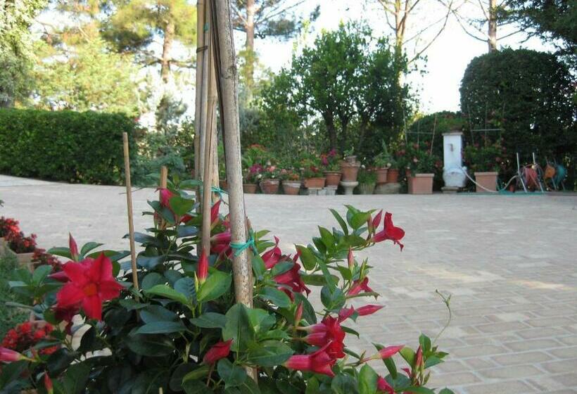 ベッドアンドブレックファースト Casa Dei Pini Country House