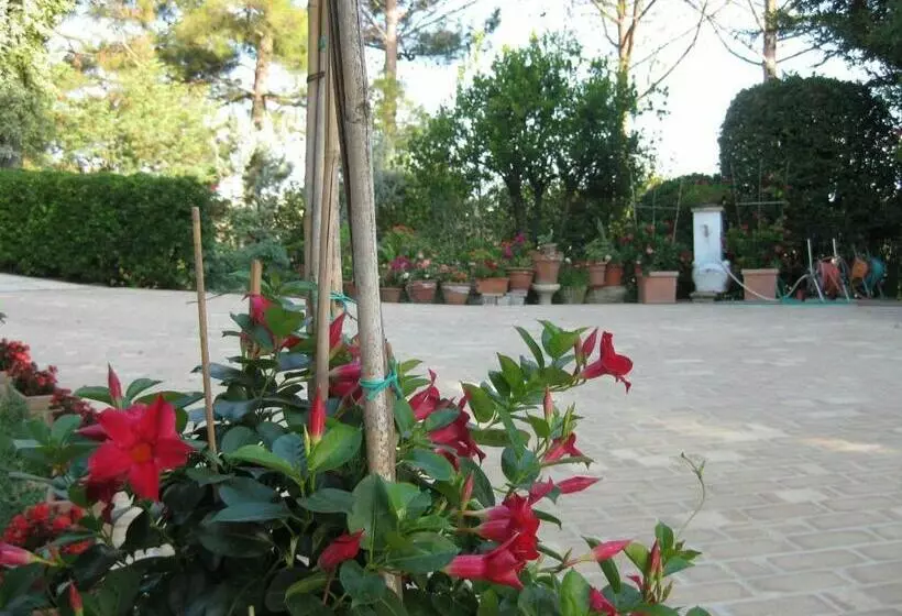 Aamiaismajoitus (B&B) Casa Dei Pini Country House