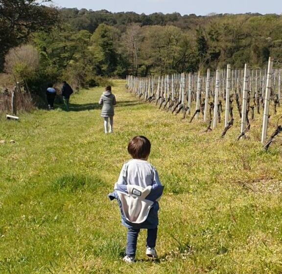 Bed and Breakfast Cantina Perandria