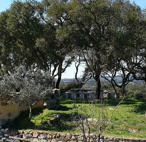 Bed and Breakfast Cantina Perandria