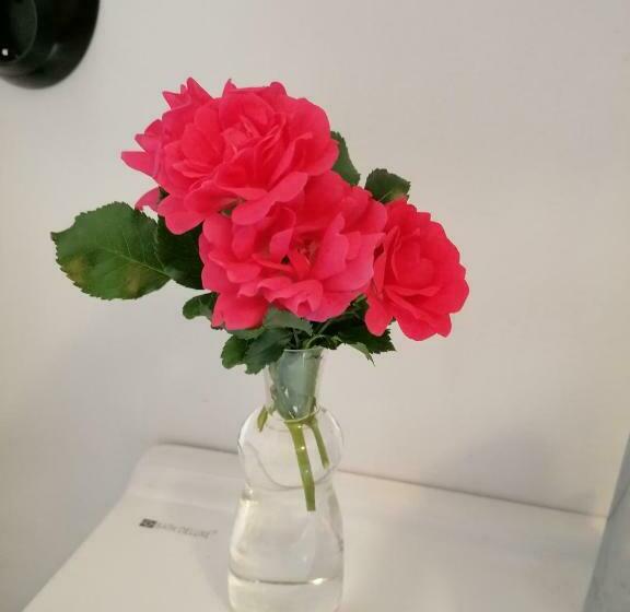 ベッドアンドブレックファースト Naturnära Charmigt Boende