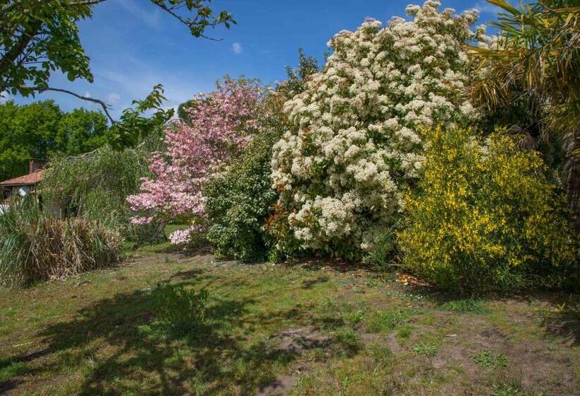 פנסיון Le Gahoun La Cosy