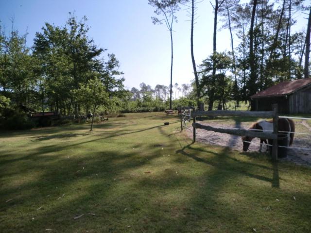 פנסיון Le Gahoun La Cosy