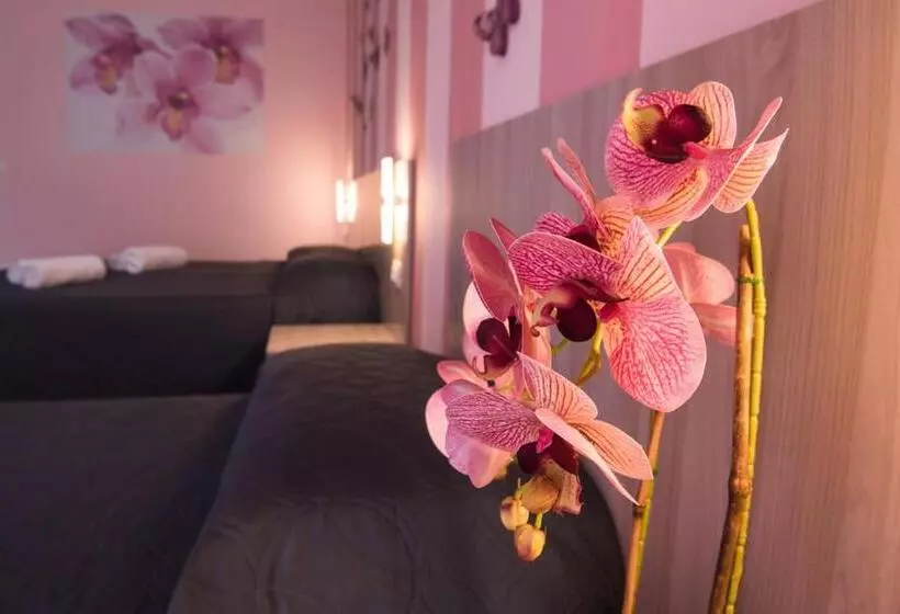 B&b Il Giardino Dei Sogni