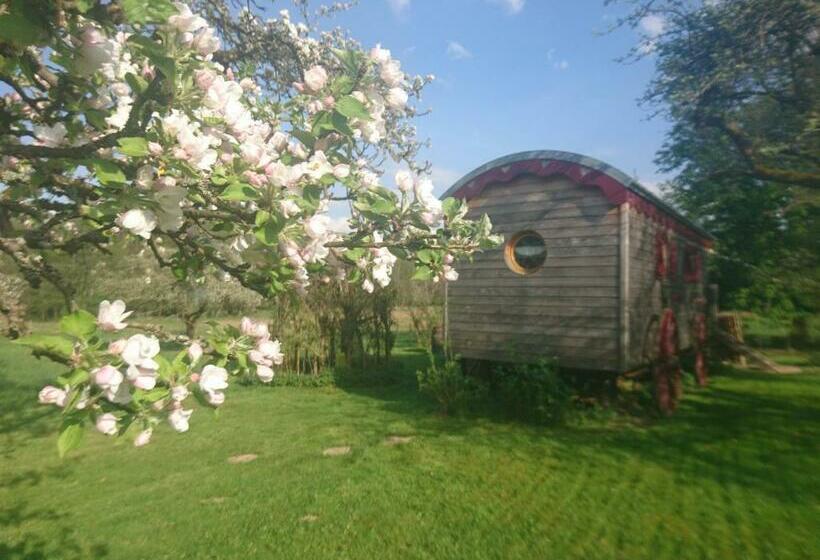 ベッドアンドブレックファースト Roulotte Le Temps De Rever