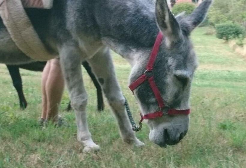 ベッドアンドブレックファースト Roulotte Le Temps De Rever