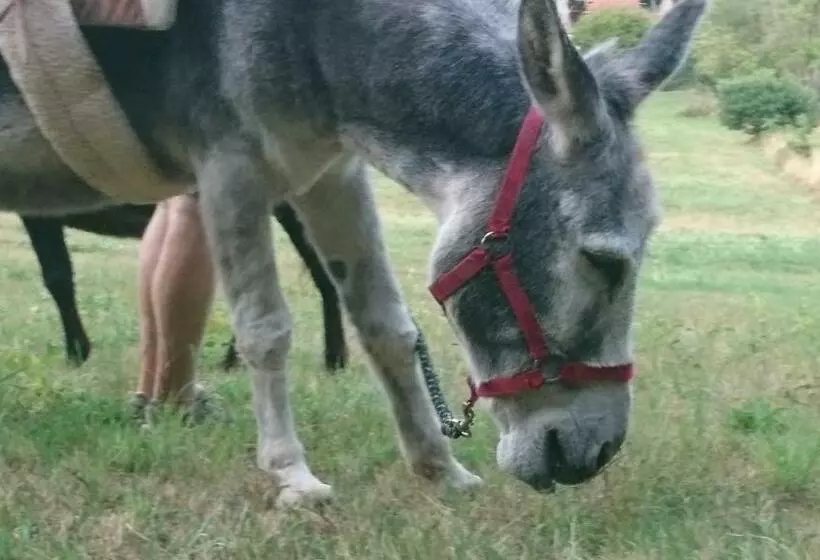 Aamiaismajoitus (B&B) Roulotte Le Temps De Rever