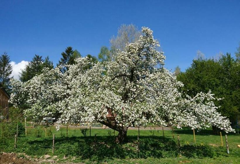 ベッドアンドブレックファースト Roulotte Le Temps De Rever