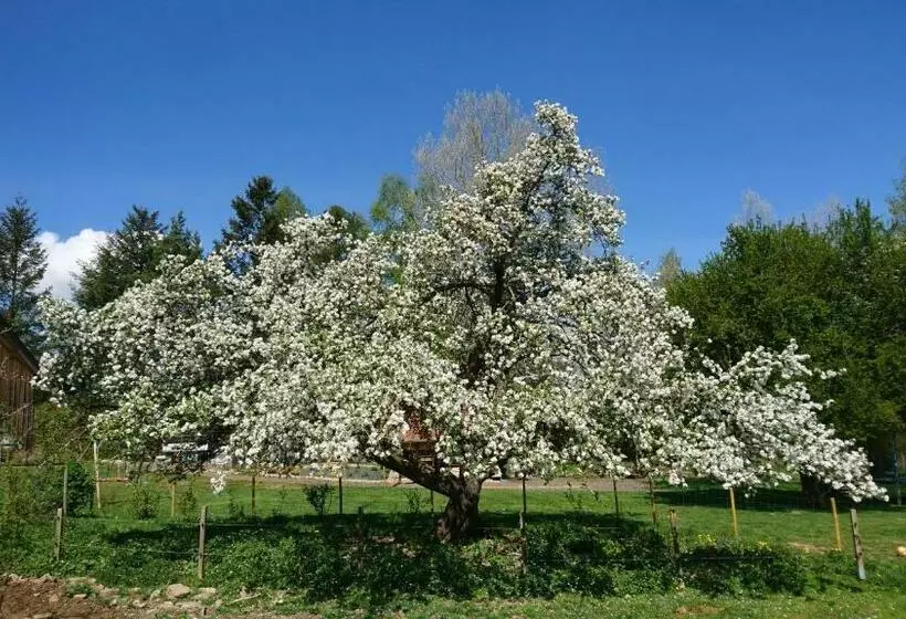 Aamiaismajoitus (B&B) Roulotte Le Temps De Rever