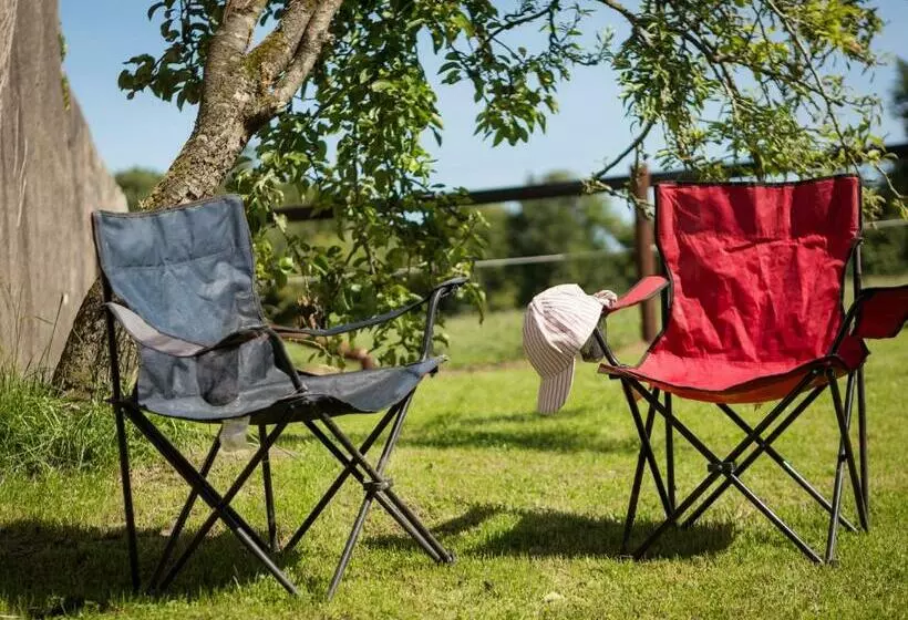 Coolcormack Stud B&b