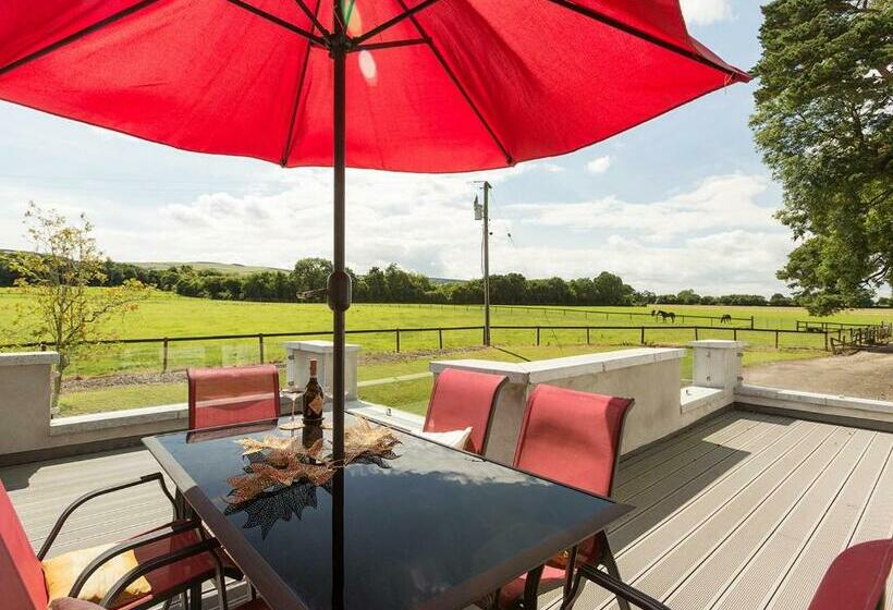 Coolcormack Stud B&b