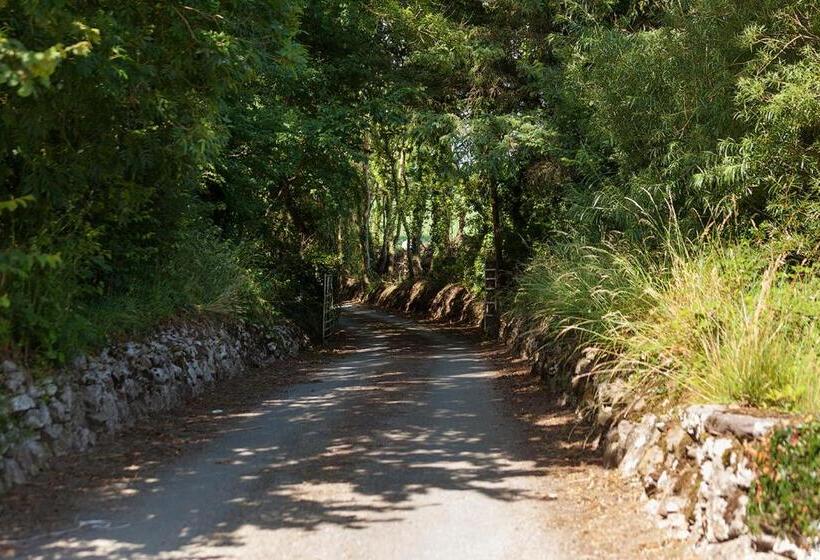 Coolcormack Stud B&b