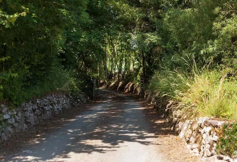 Coolcormack Stud B&b