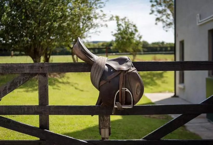 Coolcormack Stud B&b