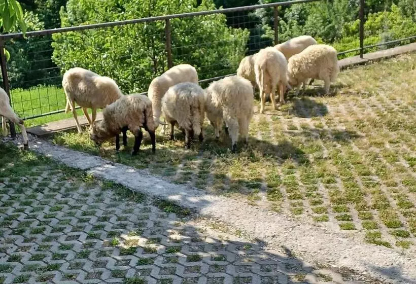 Majatalo Bé La 2 Vendégház