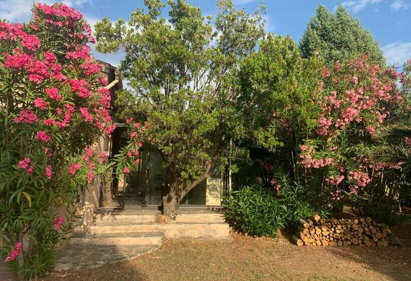 פנסיון Chambres Et Tables D Hôtes Zélia & Jacques Berquez