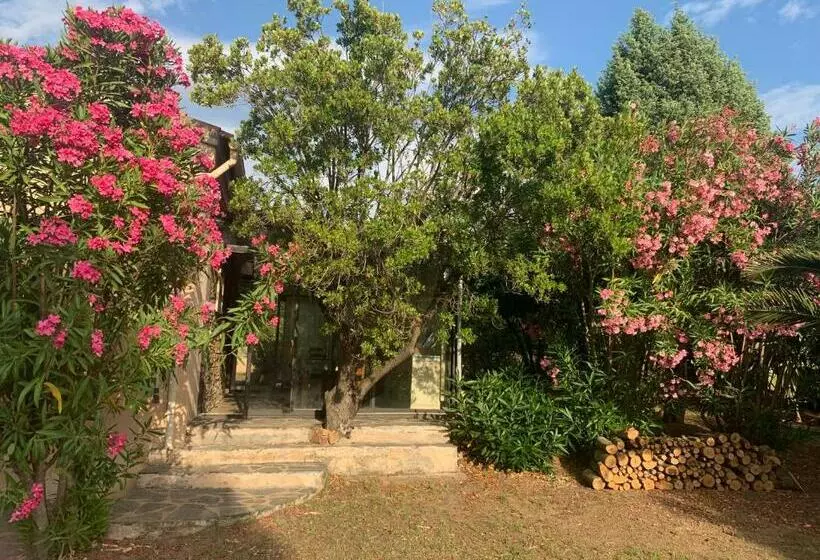 پانسیون Chambres Et Tables D Hôtes Zélia & Jacques Berquez