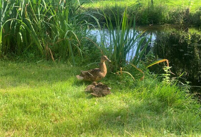 B&b De Hooiberg Edam Volendam