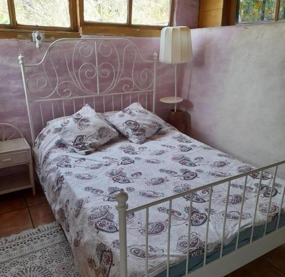 住宿加早餐 Abracaribes