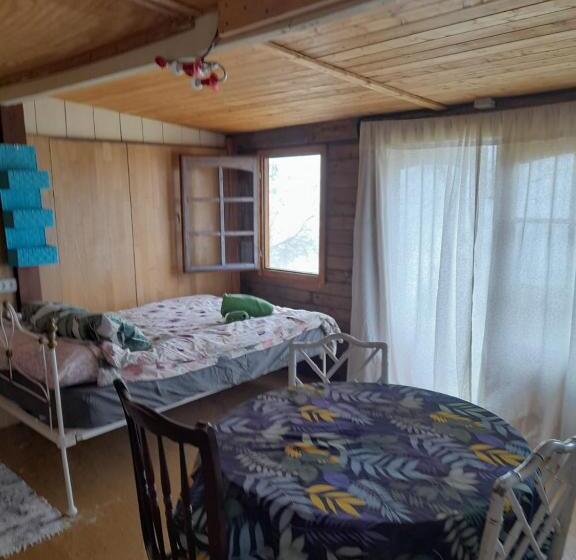 住宿加早餐 Abracaribes