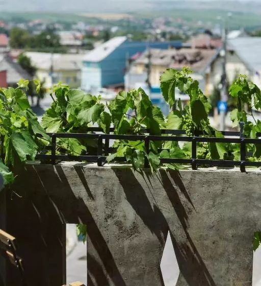 Aamiaismajoitus (B&B) Hangers