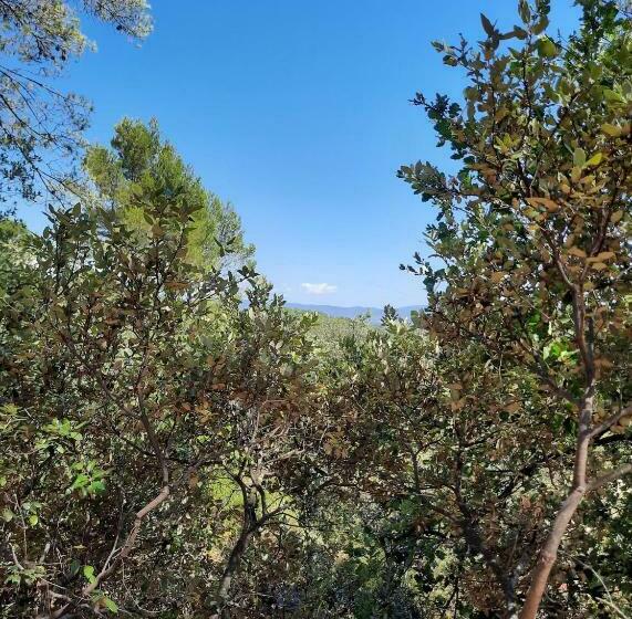 بنسيون Cabane Dans Les Arbres La Kaz Aux Cigales