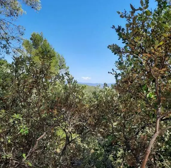 ペンション Cabane Dans Les Arbres La Kaz Aux Cigales