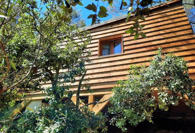بنسيون Cabane Dans Les Arbres La Kaz Aux Cigales