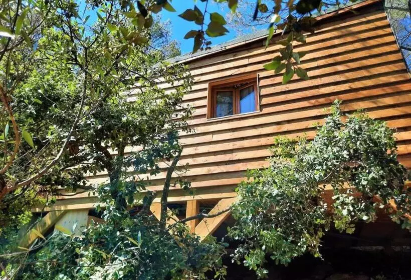 ペンション Cabane Dans Les Arbres La Kaz Aux Cigales