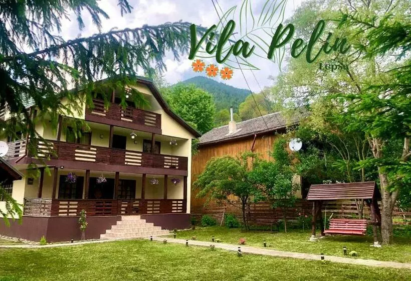 ペンション Vila Pelin