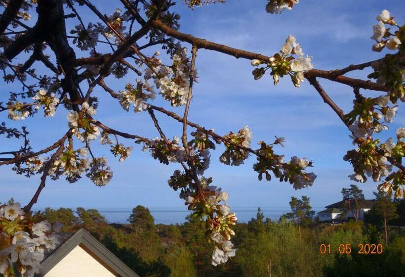 Risør Bed & Breakfast, Randvik Strand