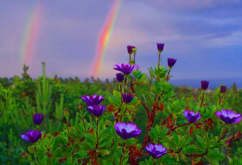 Risør Bed & Breakfast, Randvik Strand