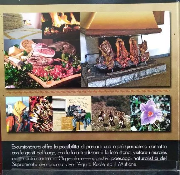 ユースホステル Locanda B&b Dandana