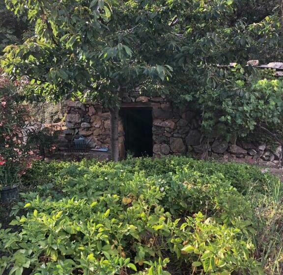 민박 Villa Capraghjese