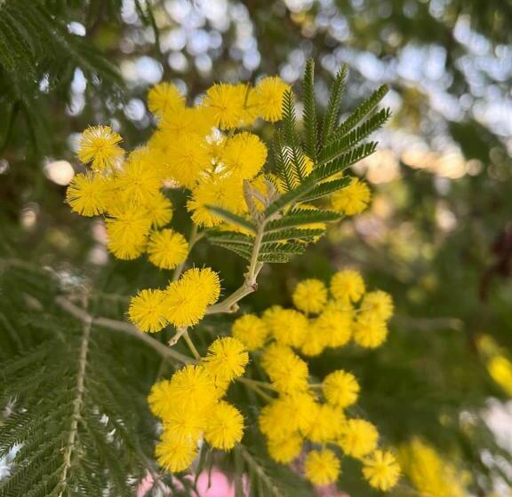 هتل Studio Moderne Port De Mandelieu Proche Mer