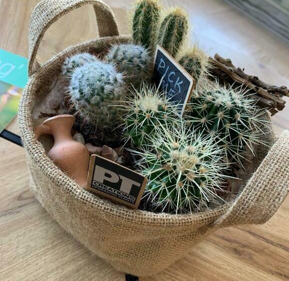 هتل Studio Moderne Port De Mandelieu Proche Mer