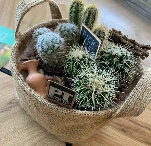 Hotelli Studio Moderne  Port De Mandelieu  Proche Mer