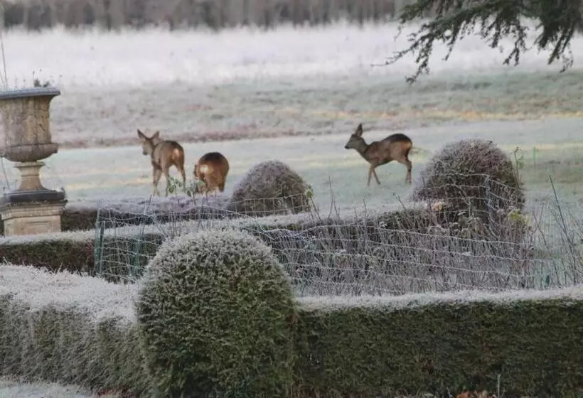 ベッドアンドブレックファースト Château De Praslins