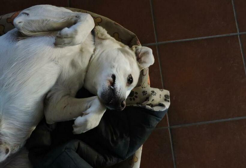 مبيت وإفطار Da Franca