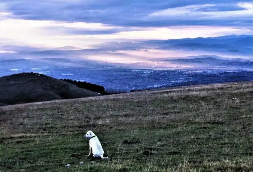 Aamiaismajoitus (B&B) Da Franca