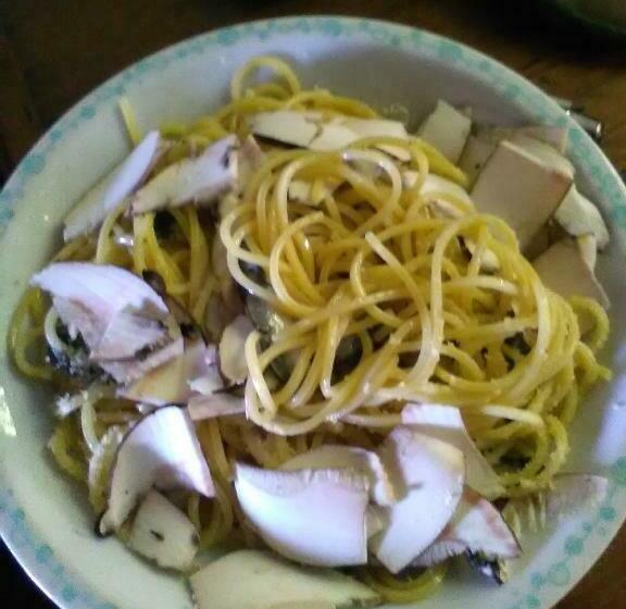 مبيت وإفطار Da Franca