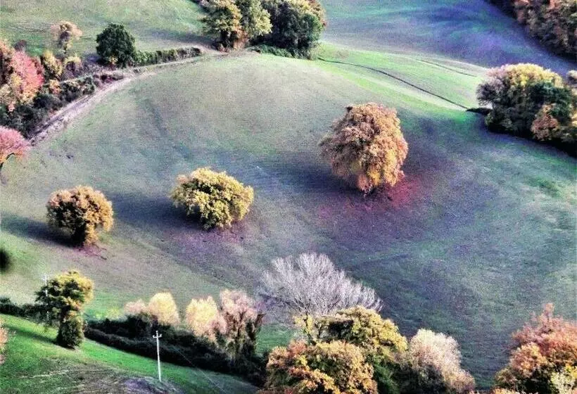 Aamiaismajoitus (B&B) Da Franca